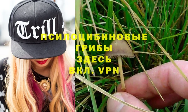 альфа пвп VHQ Алзамай
