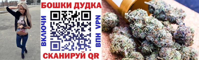 наркота Новозыбков mega как войти МАРИХУАНА Bruce Banner